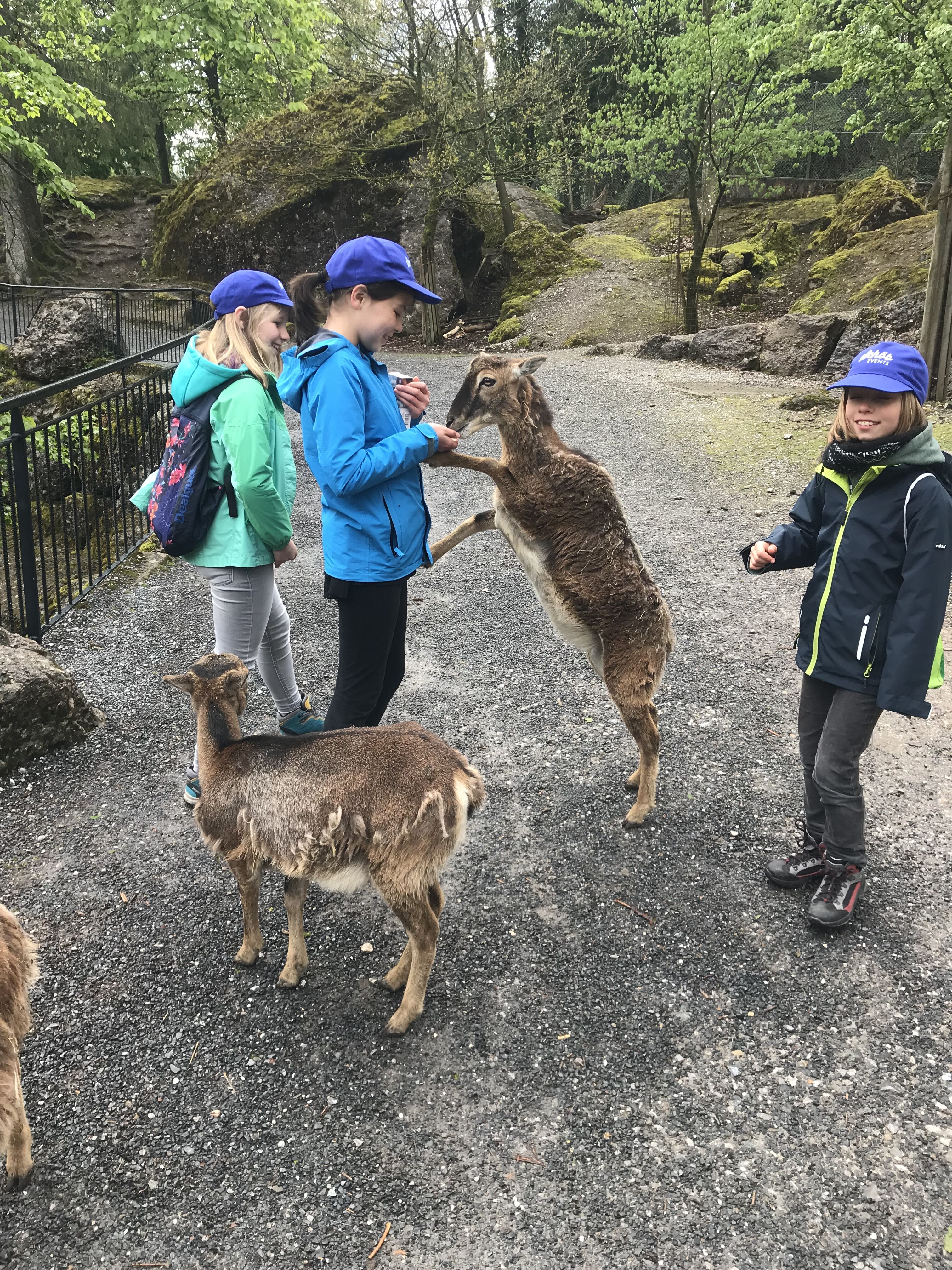Tierpark